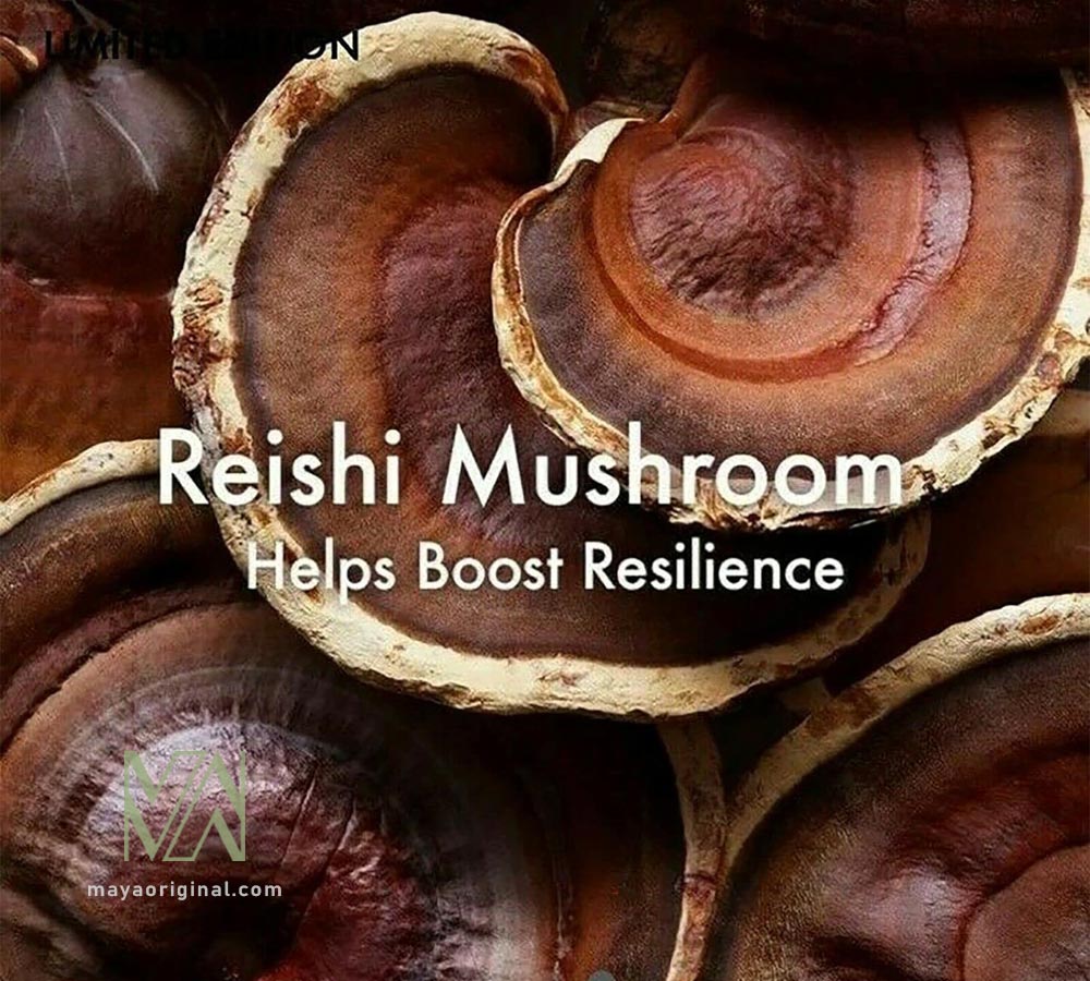 origins-mega-mushroom-relief-and-resilience-soothing-treatment-maya-02