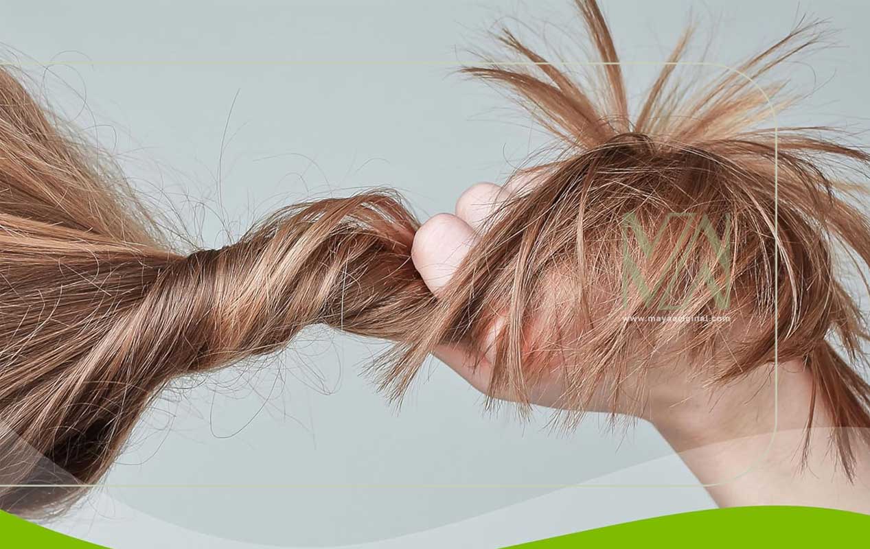 کپسول پریورین بایر آلمان