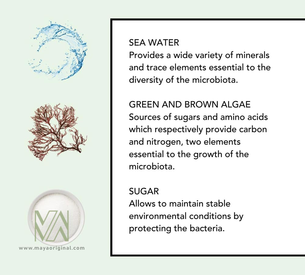 lierac-the-cleansing-foam-maya-04 فوم شوینده صورت لیراک